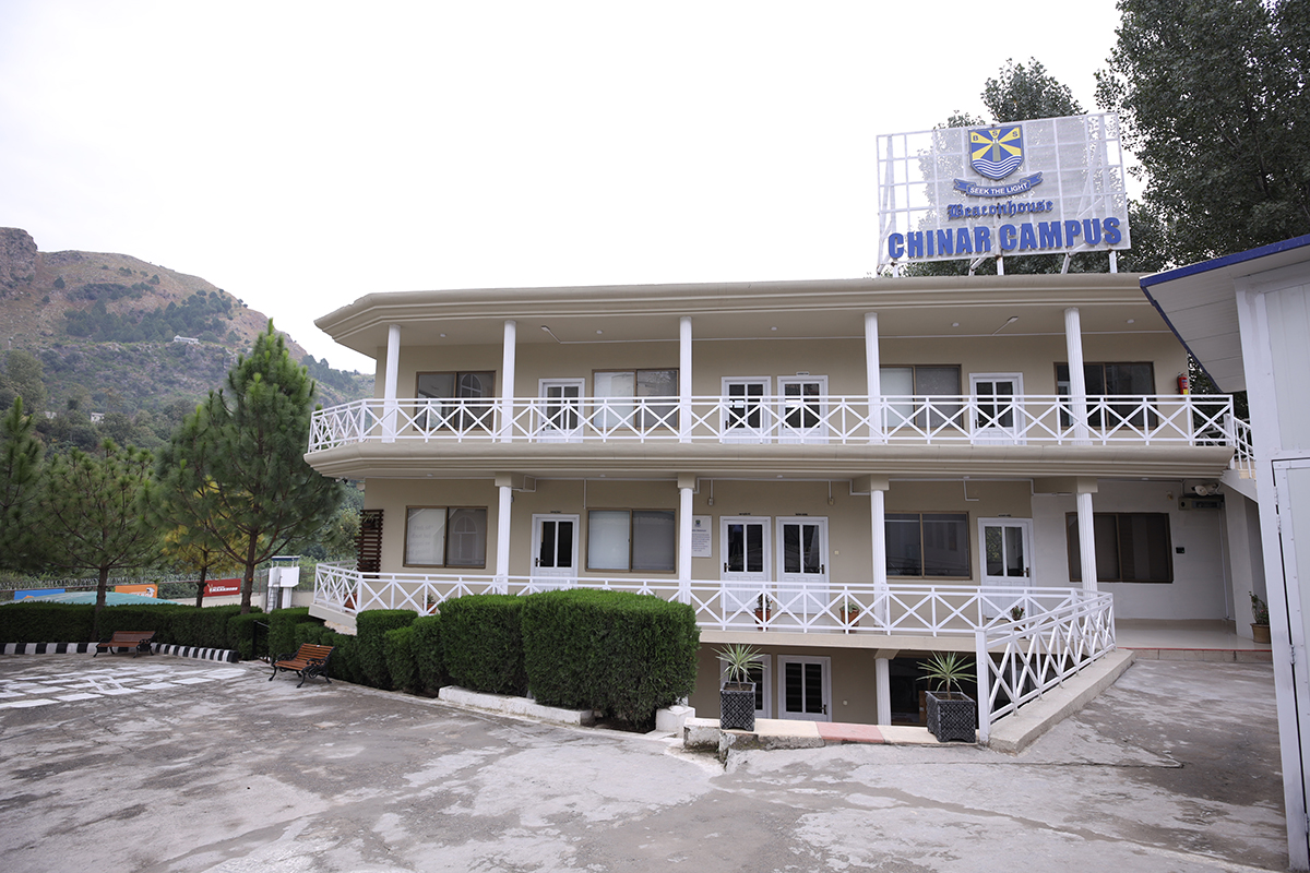 Branch Image